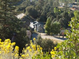Pine Mountain Club scenery. Photo by George Garrigues, CC BY 3.0.